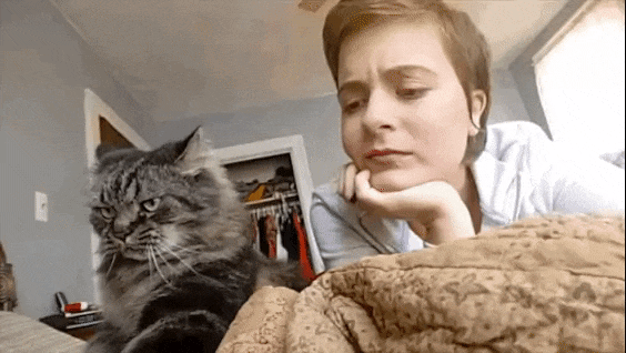 Котик и тп