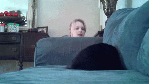 Котик